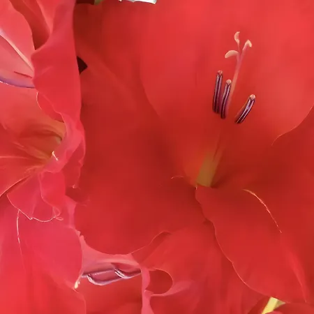 D'hotes La Cote D'argent