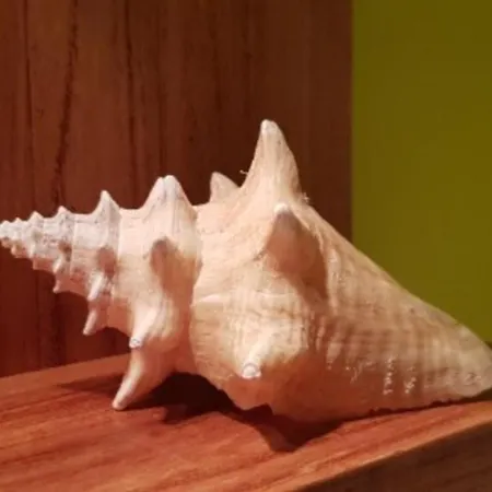 D'hotes La Cote D'argent فندق مبيت وإفطار لو بورغ