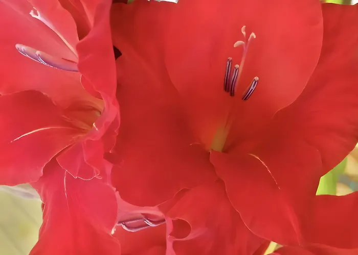 D'hotes La Cote D'argent