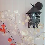 Bed and Breakfast D'hotes La Cote D'argent