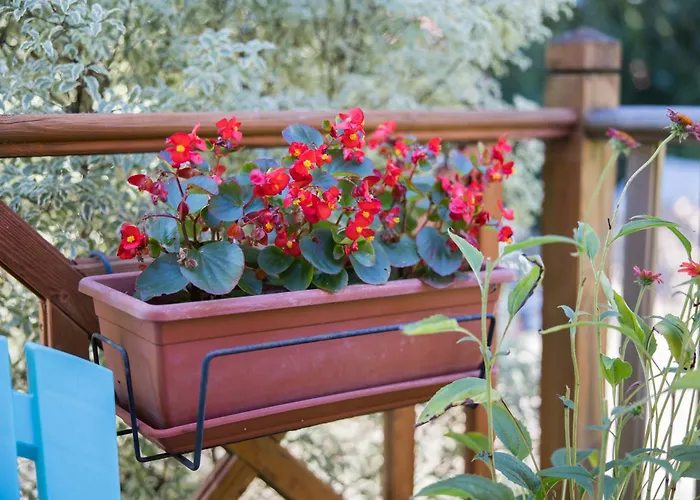 D'hotes La Cote D'argent 3* Le Porge